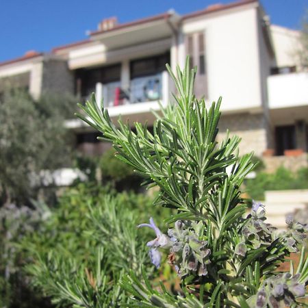 Apartments Palma & Pino Cres Exteriör bild
